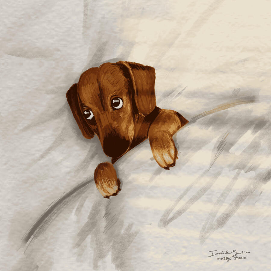 drakey - clip studio paint